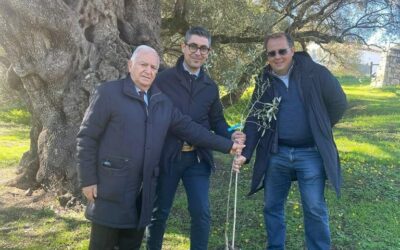 Il presidente del Consorzio dell’Olio di Calabria IGP a Villacidro (CA) per celebrare il patrimonio dell’olivicoltura del Mediterraneo