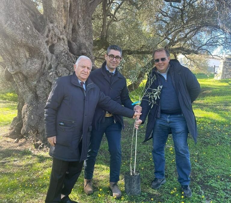 Il presidente del Consorzio dell’Olio di Calabria IGP a Villacidro (CA) per celebrare il patrimonio dell’olivicoltura del Mediterraneo