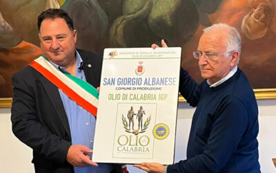 Cultivar autoctone promuovono la terra di Calabria grazie al lavoro di valorizzazione e tutela del Consorzio Olio di Calabria IGP