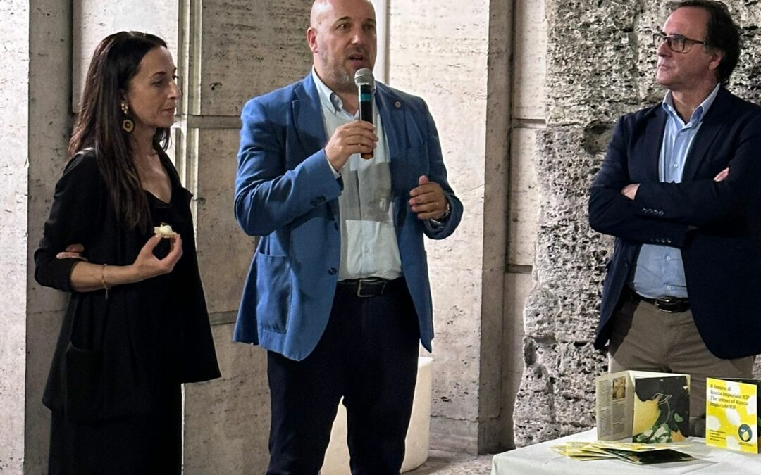 The Consorzio Olio di Calabria Ig protagonist in Rome to “taste” Calabria