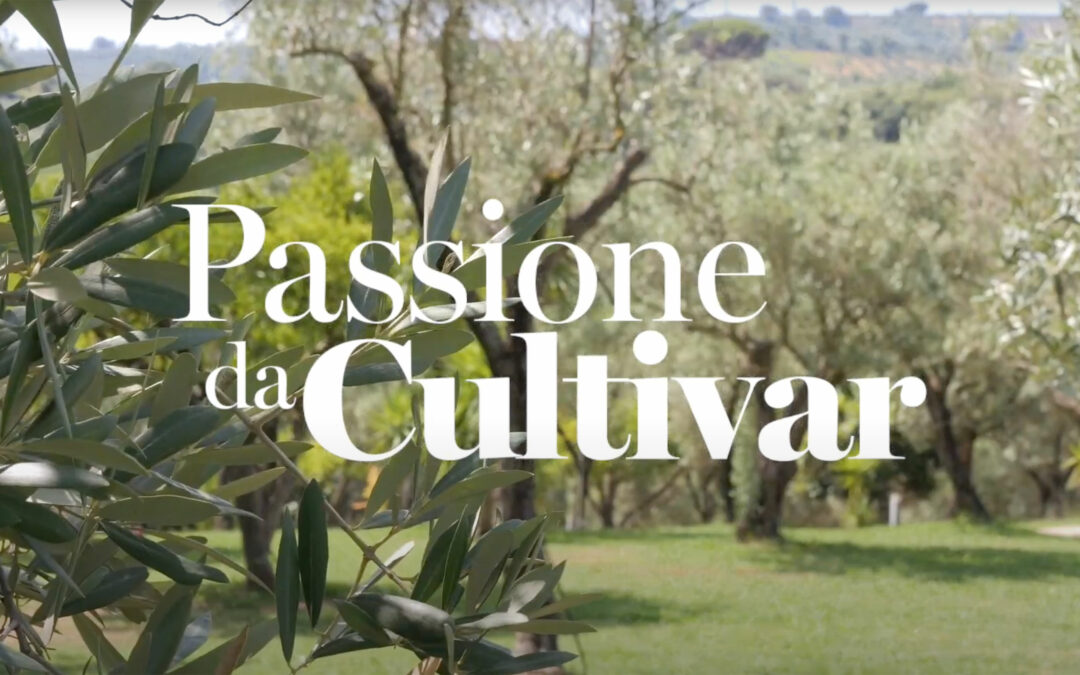 “Cultivar Passion,” here is the documentary designed and produced by the Olio di Calabria Igp Consortium
