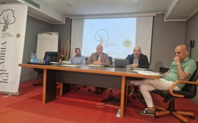Annual meeting of the Consortium Olio di Calabria IGP: promotion through schools and territories