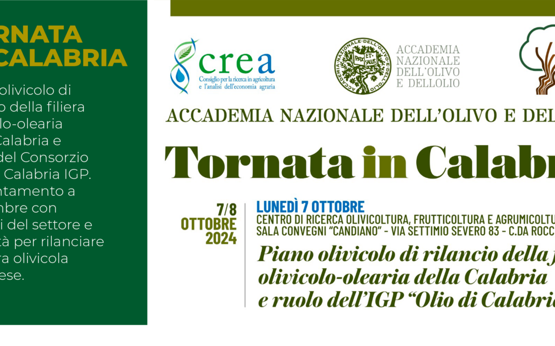 TORNATA IN CALABRIA