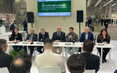 Il Consorzio Olio di Calabria Igp si è fatto molto apprezzare al Sol2Expo di Verona