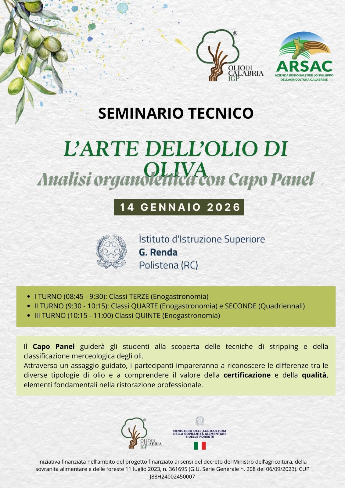 L'ARTE DELL'OLIO DI oliva